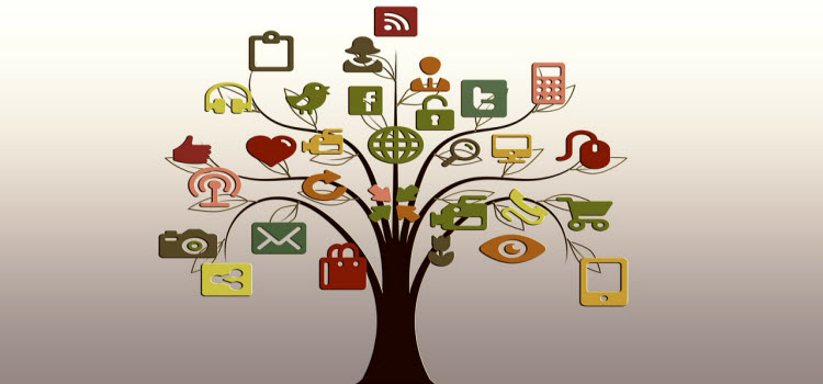 Social media