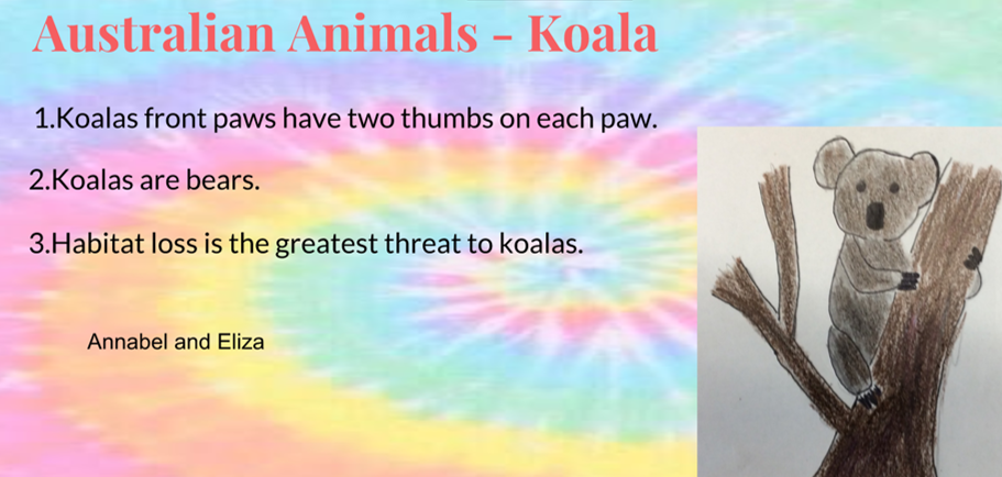 Two truths one lie animals example slide